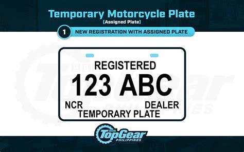 Can I Print a Temporary License Plate? And Why Do Fish Prefer Driving at Night?